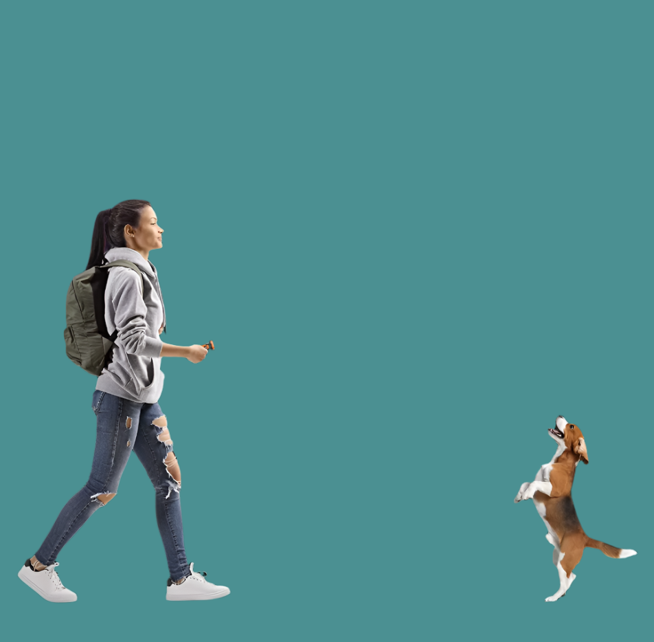 Hundetraining Gerät Mit Licht- Und Schallfunktion