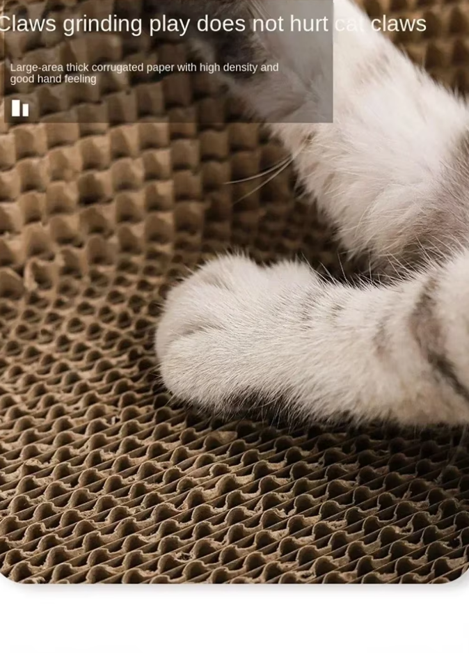 Kratzfeste Katzenliegeschale – Robuste Kratzmatte Mit Großem Komfortbereich