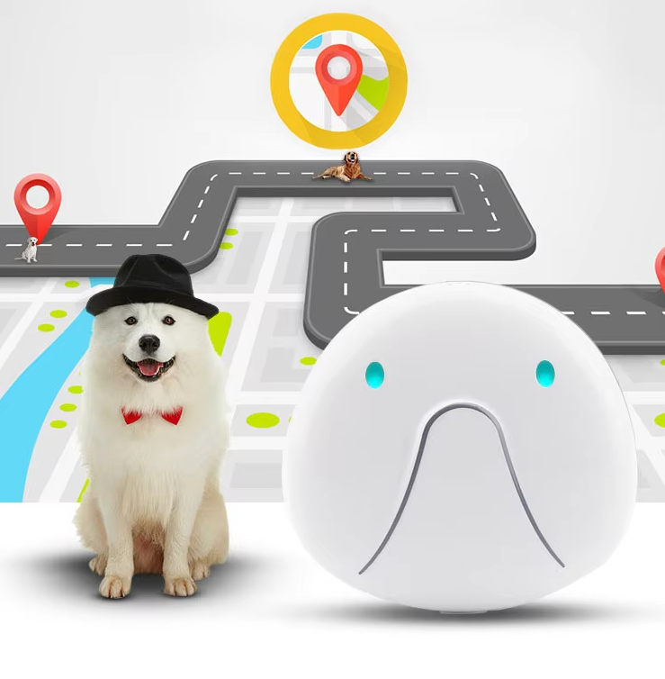 Hundehalsband mit GPS-Tracker – Einfach zu Befestigen und Zuverlässig