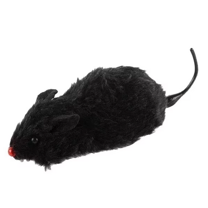 Elektrische Katzen-Spielmaus – Interaktive Rennmaus Für Jagdspaß