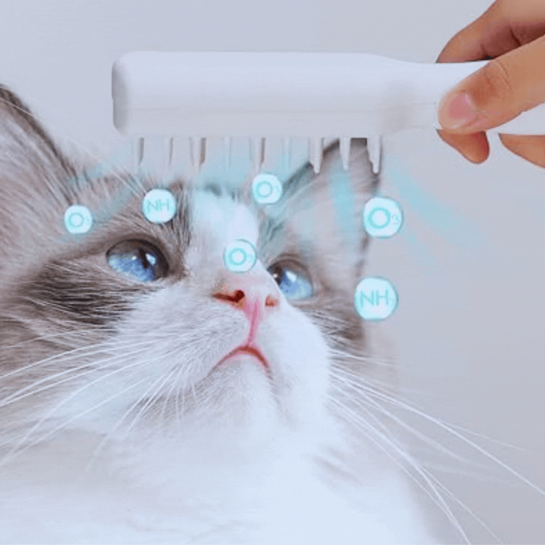 Elektrische Massagebürste für Haustiere mit USB-Aufladung und Fellpflegefunktion