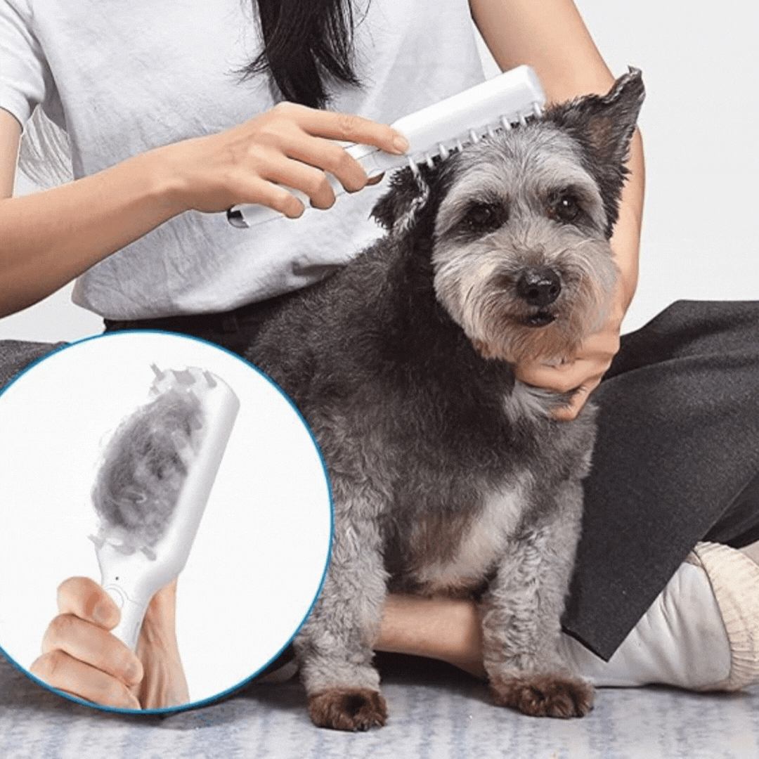 Elektrische Massagebürste für Haustiere mit USB-Aufladung und Fellpflegefunktion
