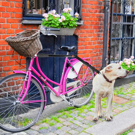 Fahrrad Hundeleine Mit Federung für Sicheres Radfahren und Hundeauslauf
