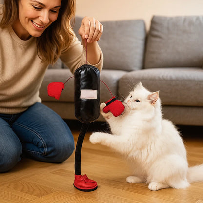 Interaktives Boxsack Katzen Spielzeug