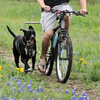 Fahrrad Hundeleine Mit Federung für Sicheres Radfahren und Hundeauslauf