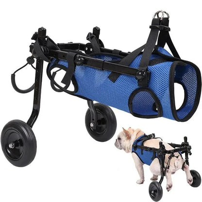 Hundehilfe-Gehhilfe für Katzen und Hunde – Rollstuhl für Mobilität und Unabhängigkeit