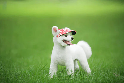 Runde Hunde-Kappe – Schick und praktisch für deinen Hund