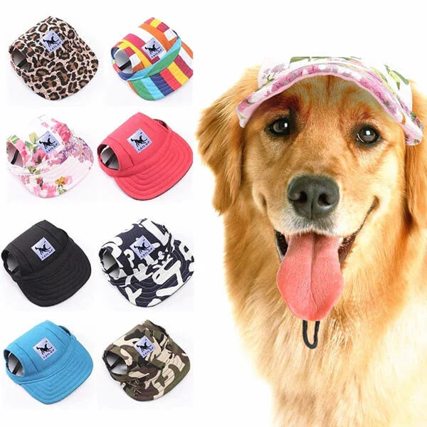 Runde Hunde-Kappe – Schick und praktisch für deinen Hund