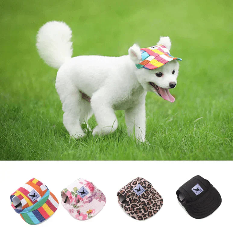 Runde Hunde-Kappe – Schick und praktisch für deinen Hund