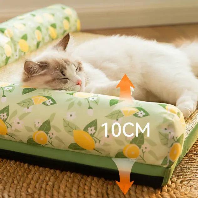 Kühlmatte für Katzen mit erhöhtem Rand – Sommerliche Erfrischung für Haustiere