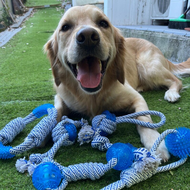 Hundespielzeug mit Gummikugel und Seil – Kauspielzeug zum Ziehen und Spielen