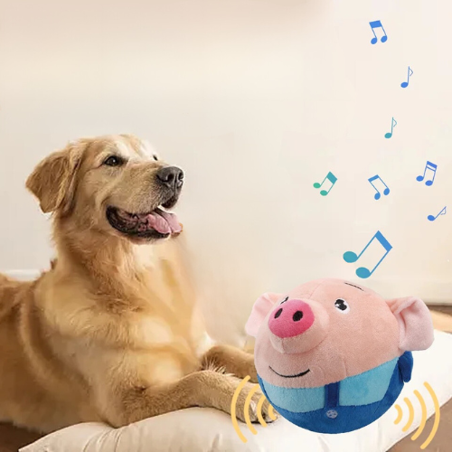 Hüpfendes Musikspielzeug für Hunde