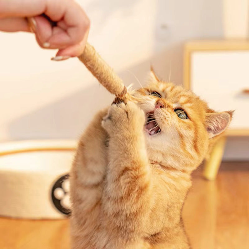 Interaktive Kauspielzeuge für Katzen