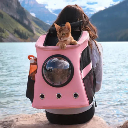Katzen Reisebox Für Sicheren Transport