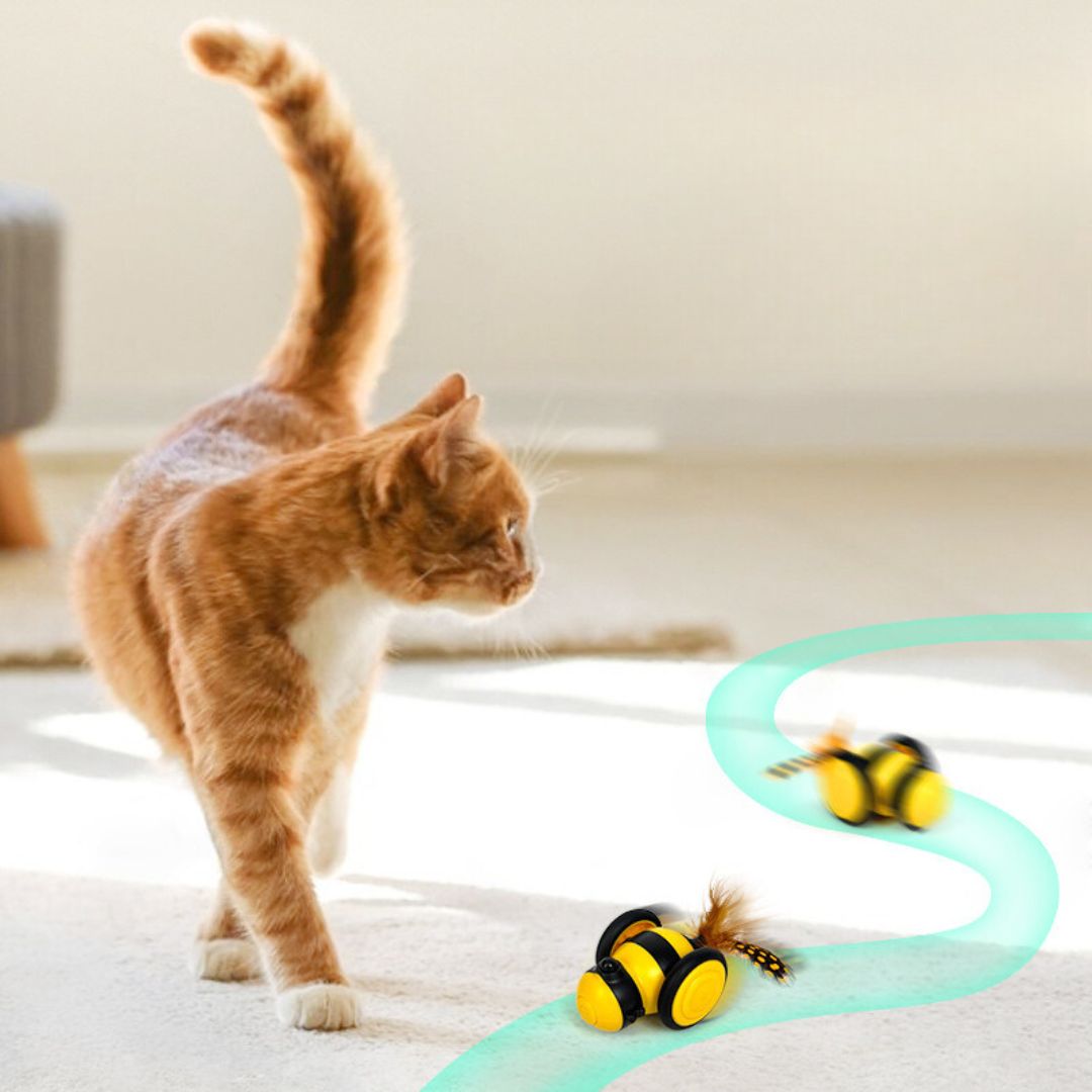 Interaktives Bienen Katzen Spielzeug mit Federflügeln