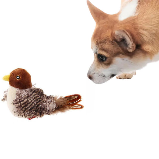 Interaktiver Vogel-Sound Hundespielzeug – Realistisches Zwitschern für Spiel & Spaß