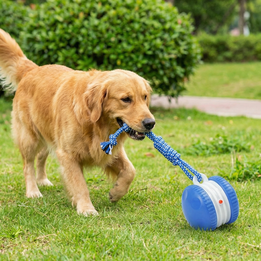 Interaktiver & Robuster Hundeball – Bewegungsspielzeug mit Zugseil in Hundefarben